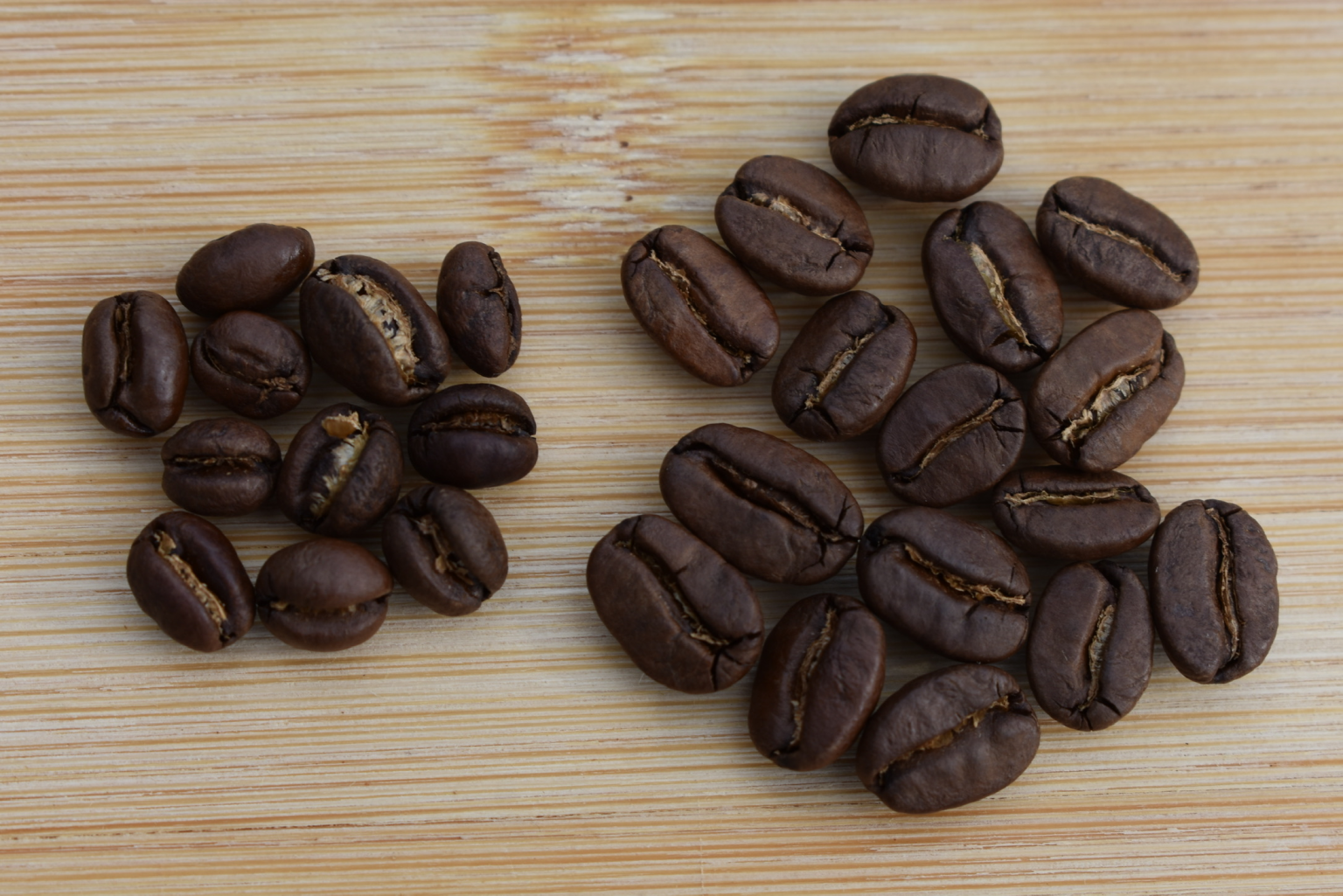 The Coffee Journey from Bean to Cup Explained