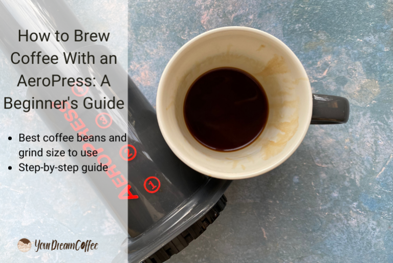 How to Brew Coffee With an AeroPress: A Beginner's Guide - Whole Bean Coffee Aeropress Cupping