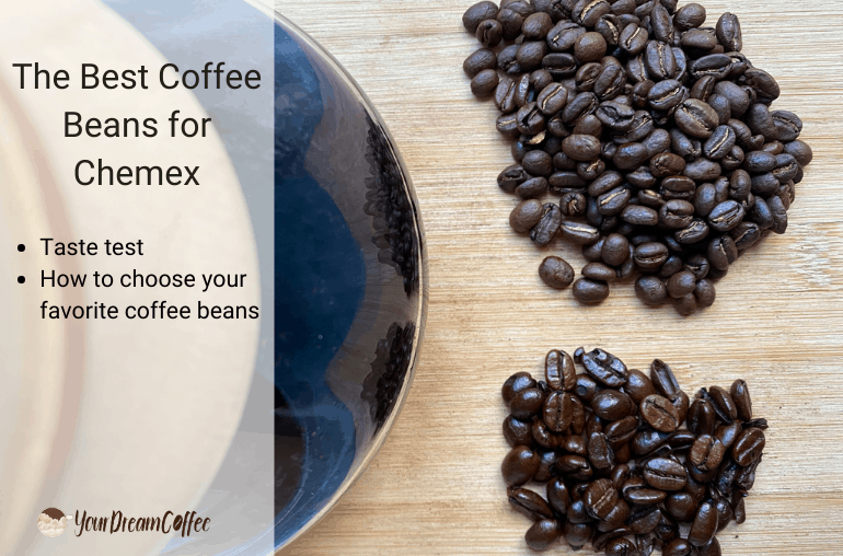 The Best Coffee Beans for Latte (Make Better Lattes at Home)