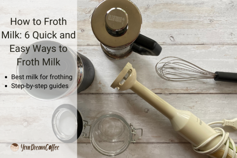 How to Froth Milk 6 Quick and Easy Ways to Froth Milk