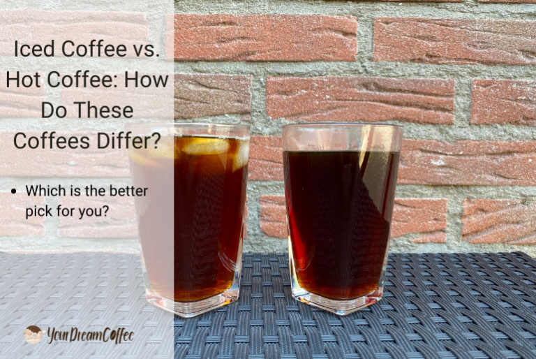 Iced Coffee vs. Hot Coffee How Do These Coffees Differ?