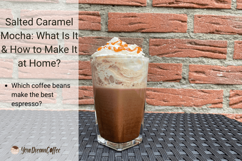 Salted Caramel Mocha: What Is It & How to Make It at Home?