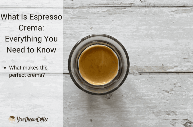 What Is a Dead Espresso Shot Everything You Need to Know