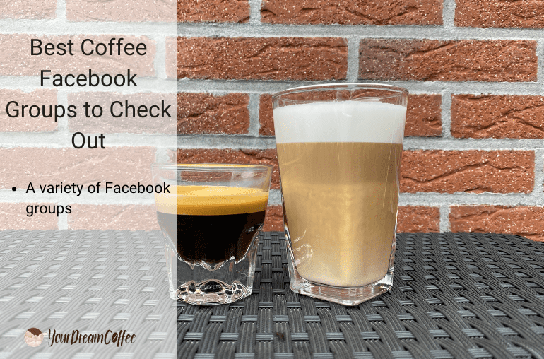 Coffee Creamer vs. Milk Which Tastes Better in Coffee?