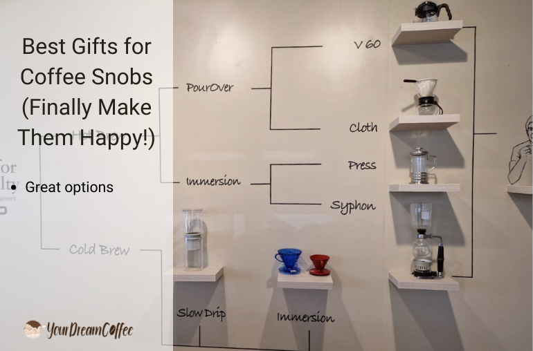 10 Best Cold Brew Coffee Gifts For Every Cold Brew Lover!