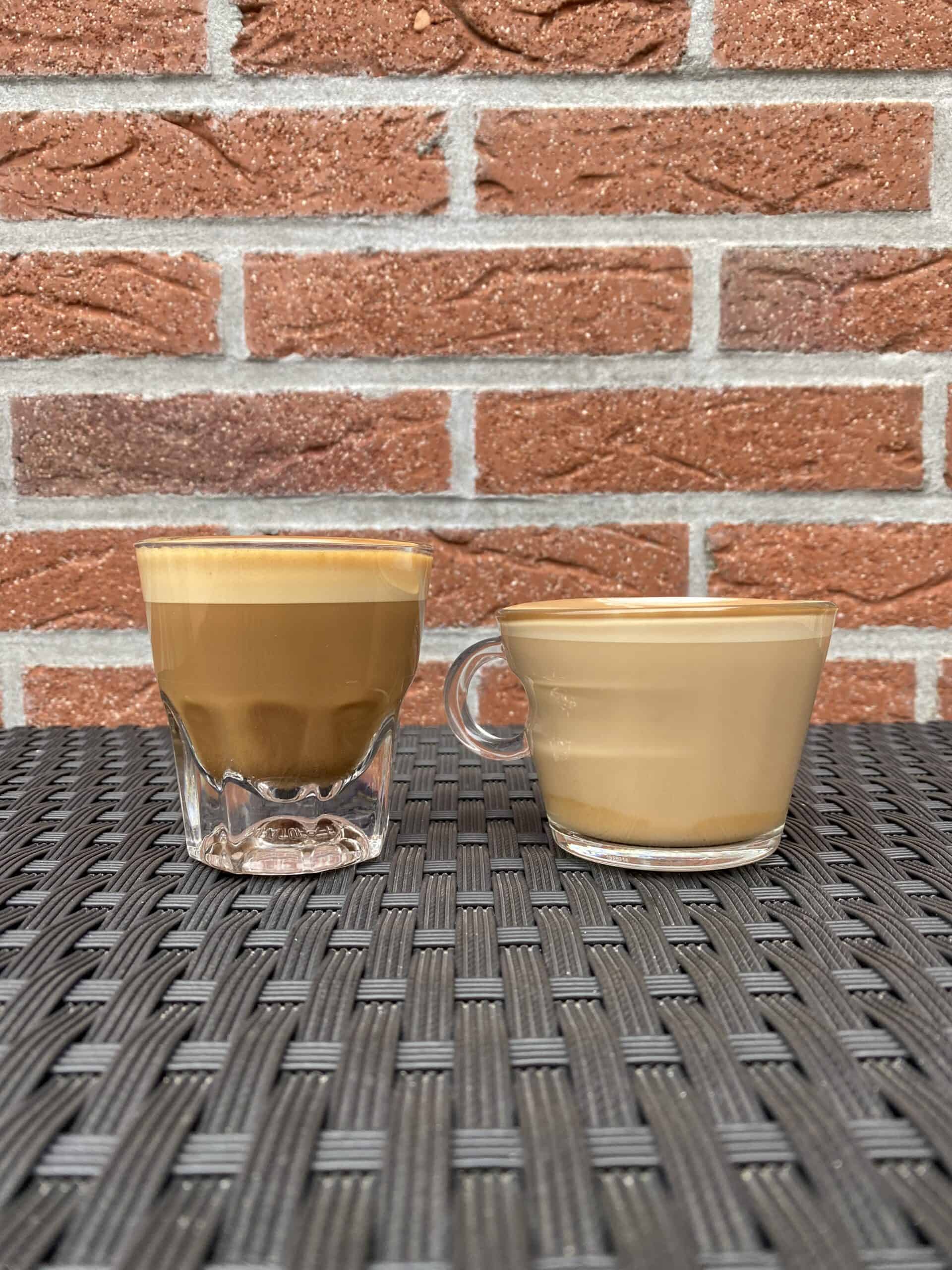 A side-by-side comparison between a cortado and a cappuccino.