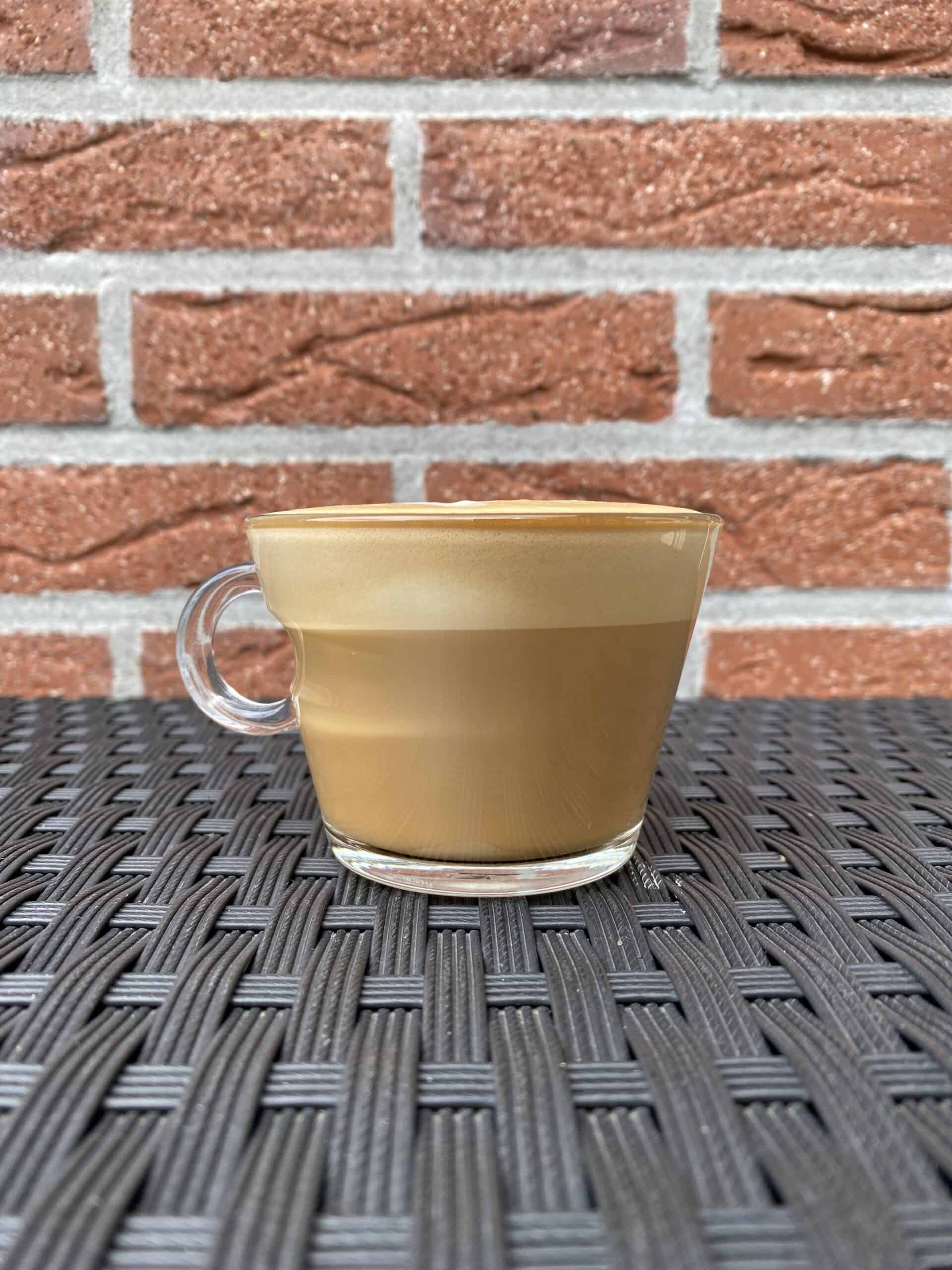 Homemade cinnamon cappuccino.