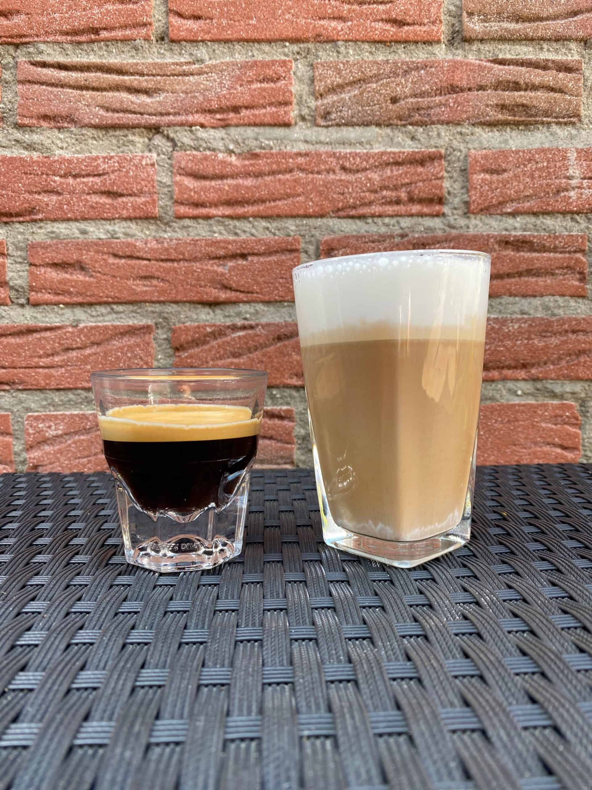 A side-by-side comparison between an espresso and a latte.