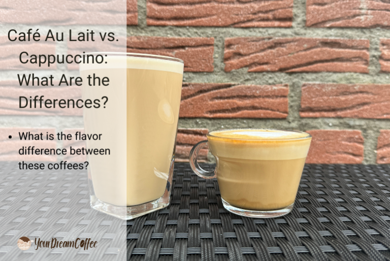 Café Au Lait vs. Cappuccino: What Are the Differences?