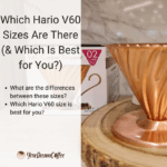 Which Hario V60 Sizes Are There (& Which Is Best for You?)