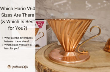 Which Hario V60 Sizes Are There (& Which Is Best for You?)