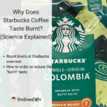 Why Does Starbucks Coffee Taste Burnt? (Science Explained)