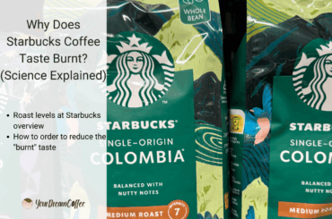 Why Does Starbucks Coffee Taste Burnt? (Science Explained)