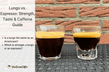 Lungo vs. Espresso: Strength, Taste & Caffeine Guide